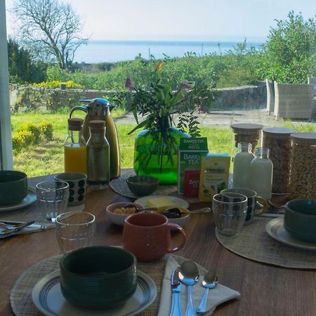 Cedarblue Bed & Breakfast Dungarvan  Ngoại thất bức ảnh