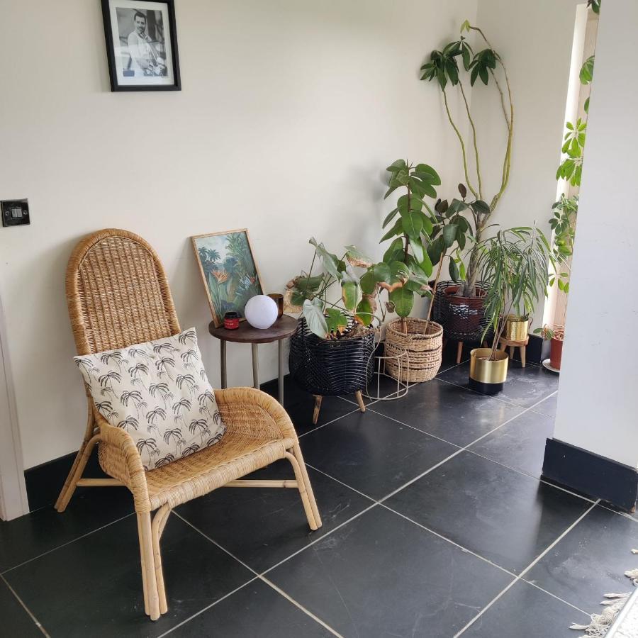 Cedarblue Bed & Breakfast Dungarvan  Ngoại thất bức ảnh